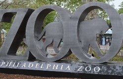 Phill Zoo logo